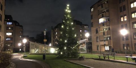 Julstämning på gården