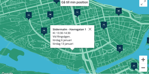 Julgran 2023