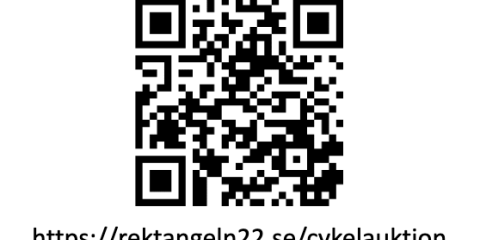 Cykelauktion