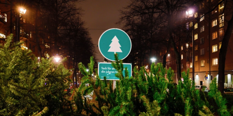 Julgransinsamling