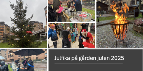 Julfika 2025