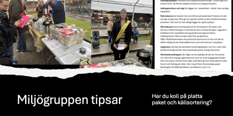 Jultips