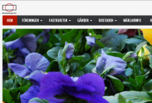 Webbsida 21 mars 2016