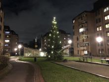 Julstämning på gården