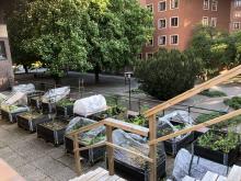 odlingslådor försommar